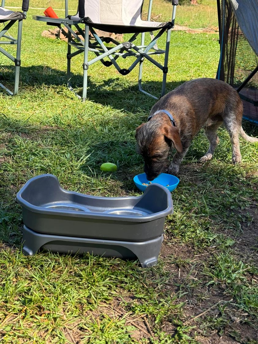 The poem makes me think of him…