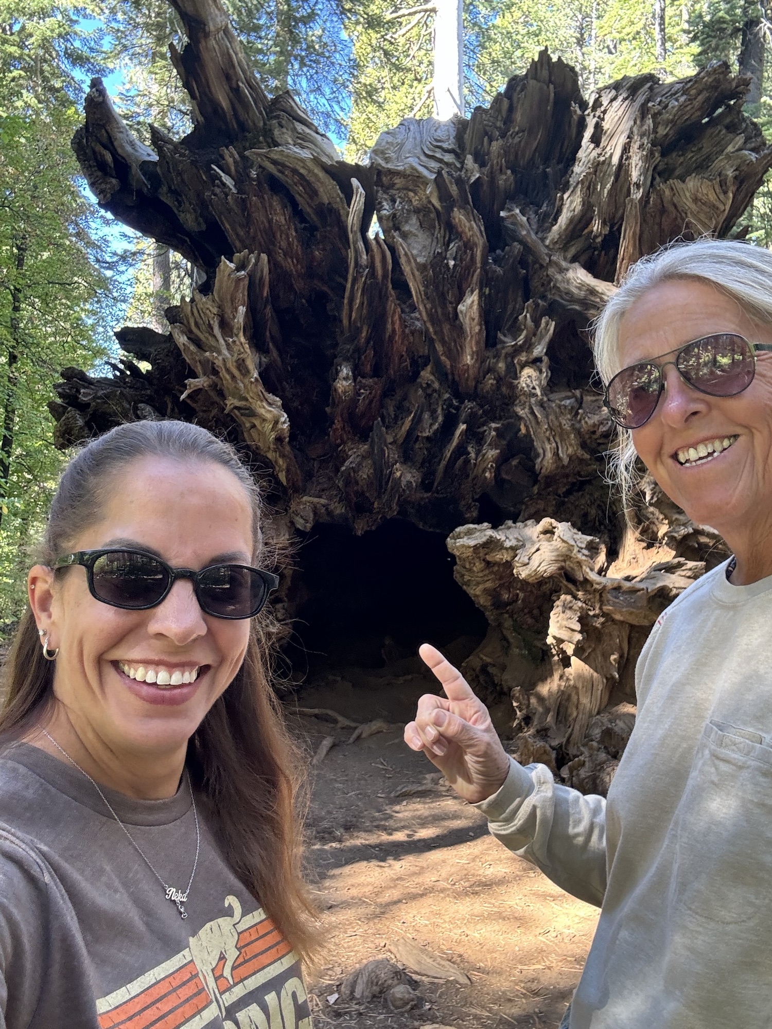 Day 3 of Yosemite and Sequoias!